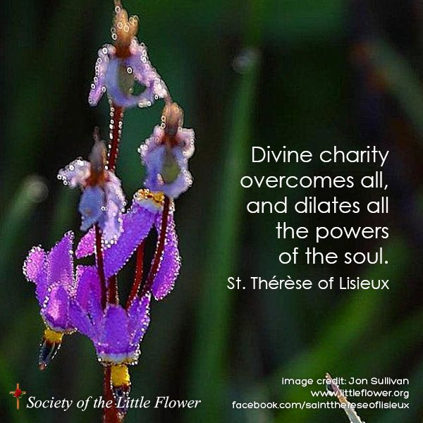 Divine Charity Overcomes All