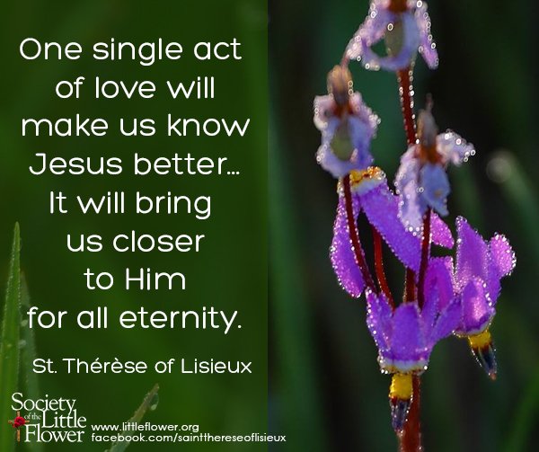 One single act of love will make us know Jesus better...It will bring us closer to him for all eternity. -St. Therese of Lisieux
