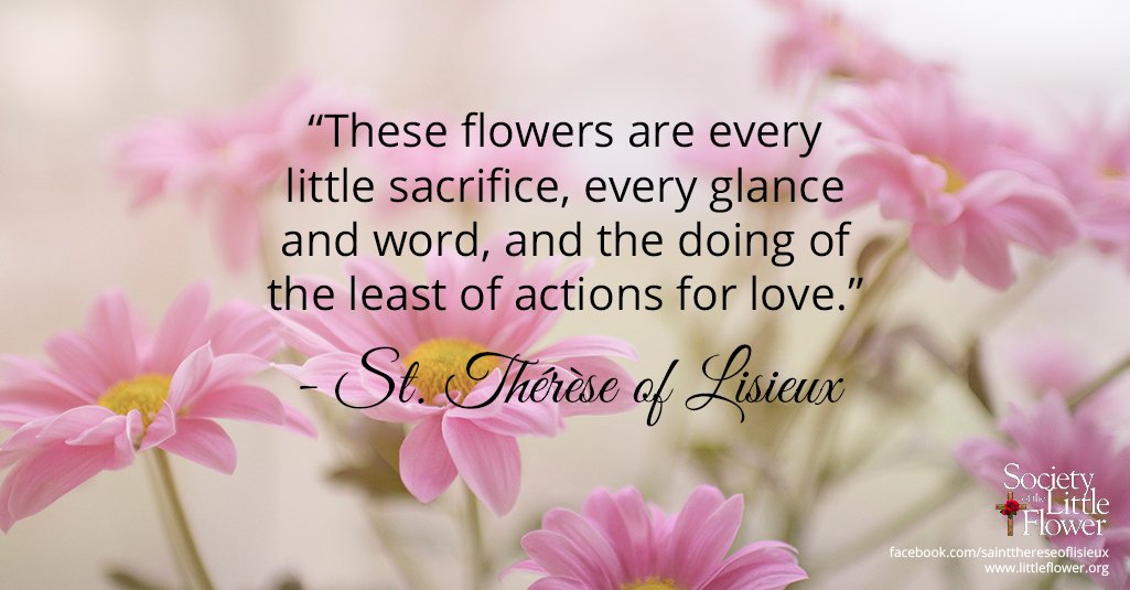 St. Therese Novena Day Seven: The Little Details