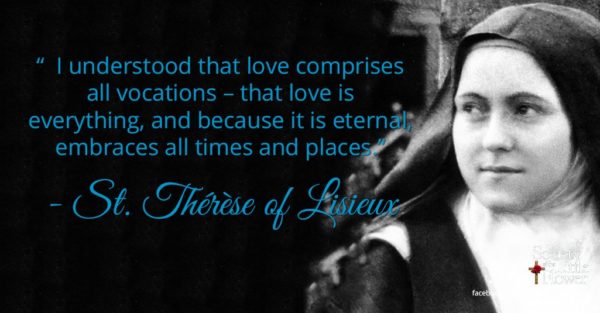 "I understood that love comprises all vocations - that love is everything, and because it is eternal, embraces all times and places."  - St. Therese