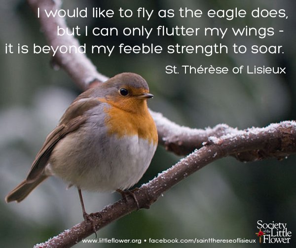 Strength to soar