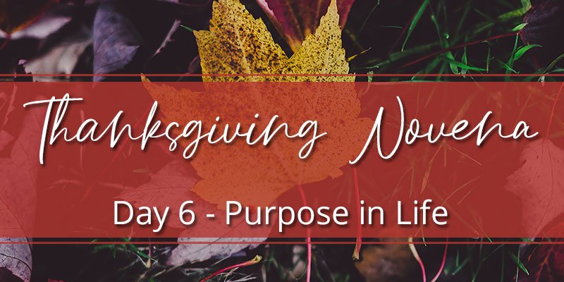 Thanksgiving Novena Day Six: Purpose in Life