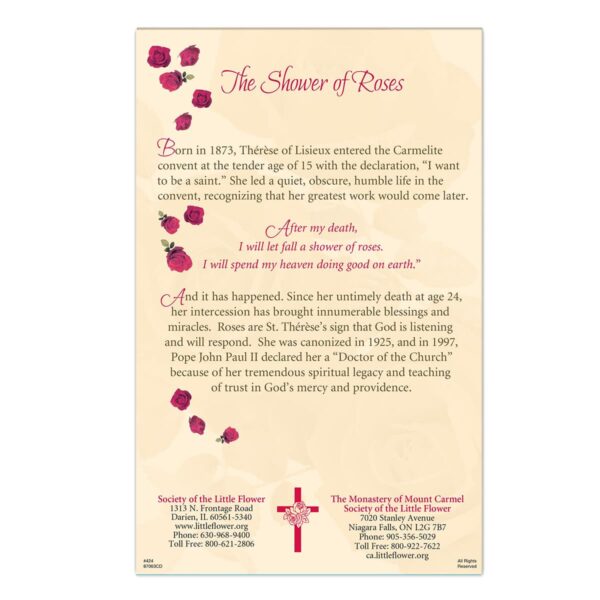Perpetual Deceased Mass Card (Blank) - Image 6