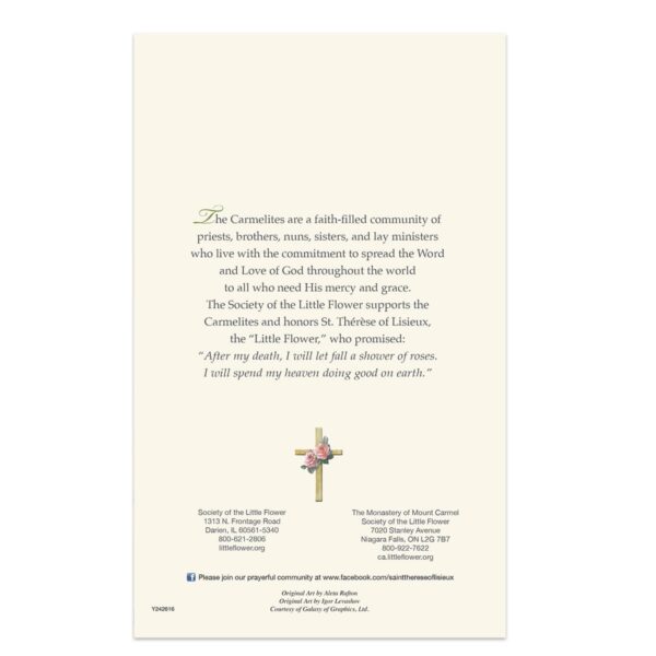 Special Living Mass Card (Blank) - Image 6