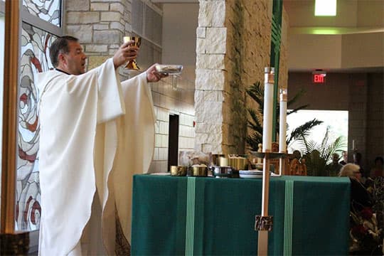 Fr. Tom Schrader, O. Carm. conducts the 2020 Feast Day Mass