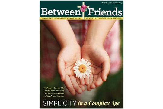 2023 Fall Between Friends Magazine with a daisy in open hands