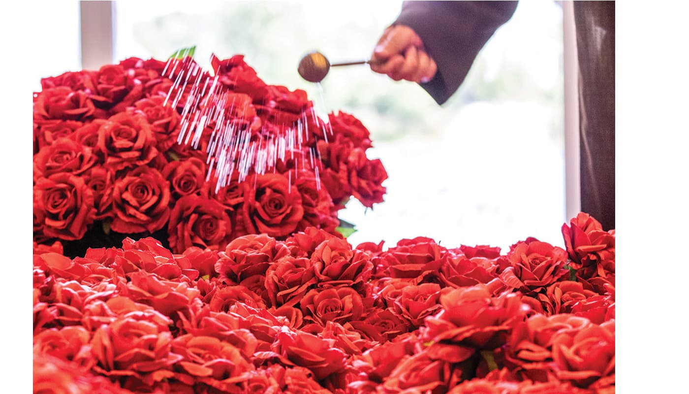 Blessing of Roses with water