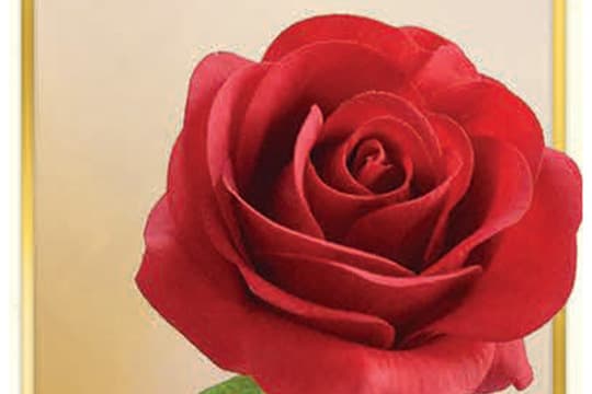 2024 Feast Day Red Rose