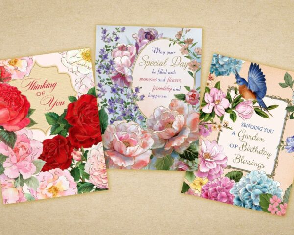 24 All Occasion Cards