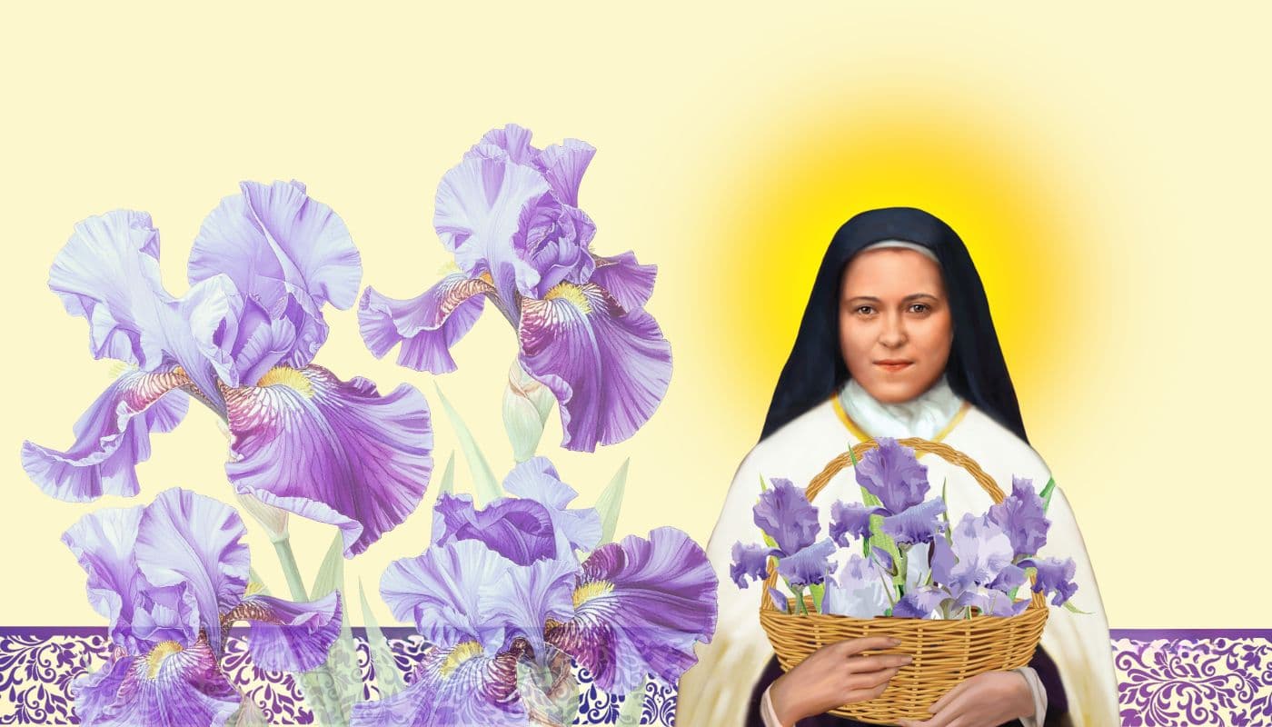 St Therese with purple irises